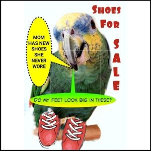 Shoes, boots, sneakers AND sandals. OH MY